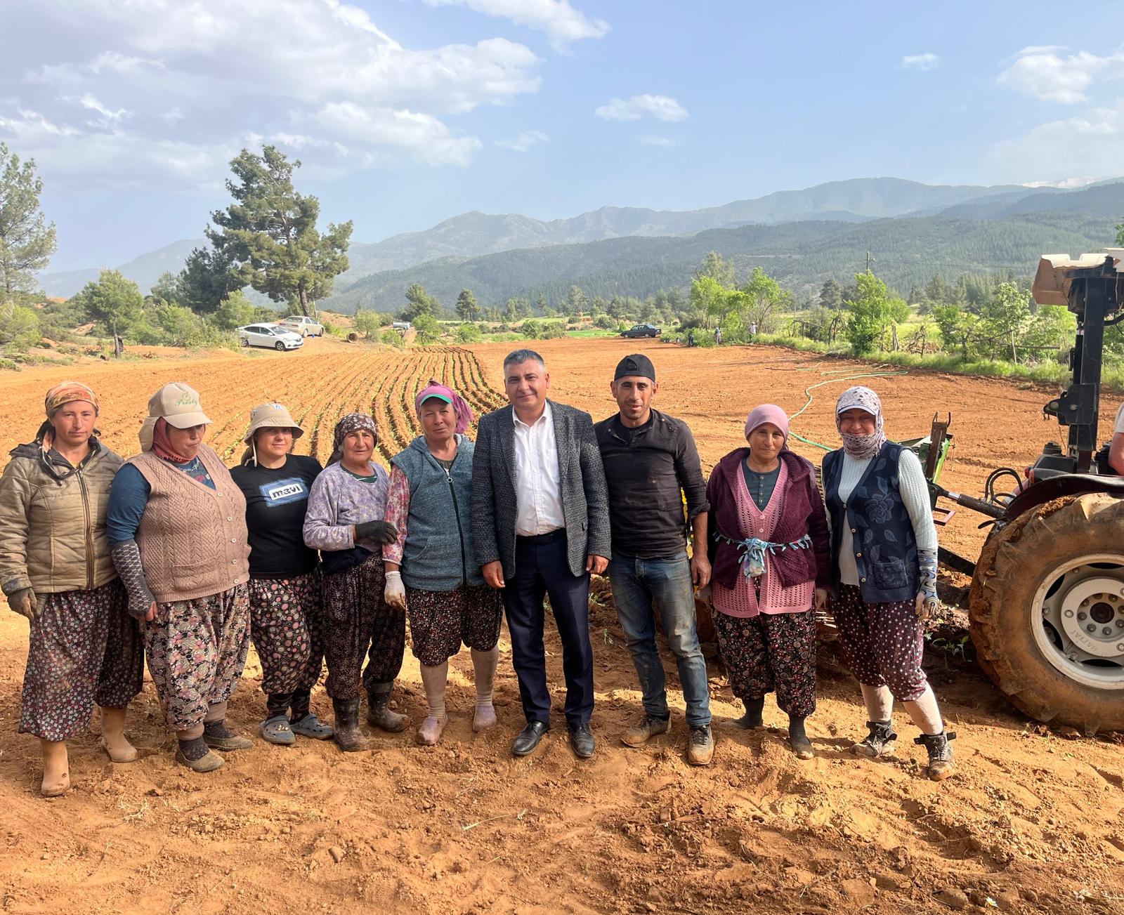 BBP Muğla İl Başkanı Bozkurt Üreticilerle Tarlaya İndi